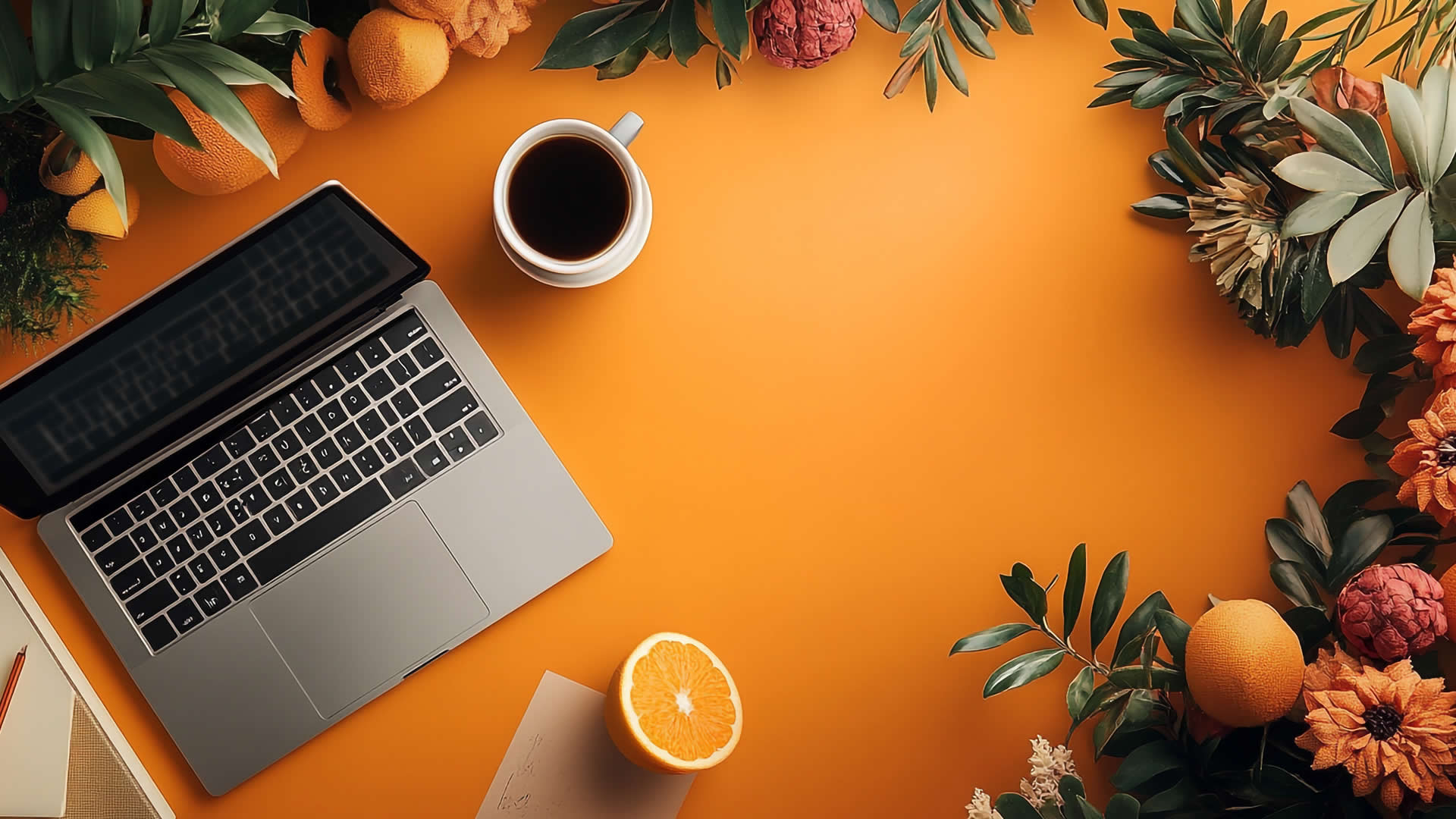 Naldöken Web Tasarım