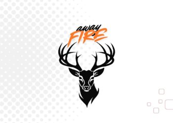 Logo Tasarımı Ne Kadar? (Profesyonel ve Freelancer Fiyatları)